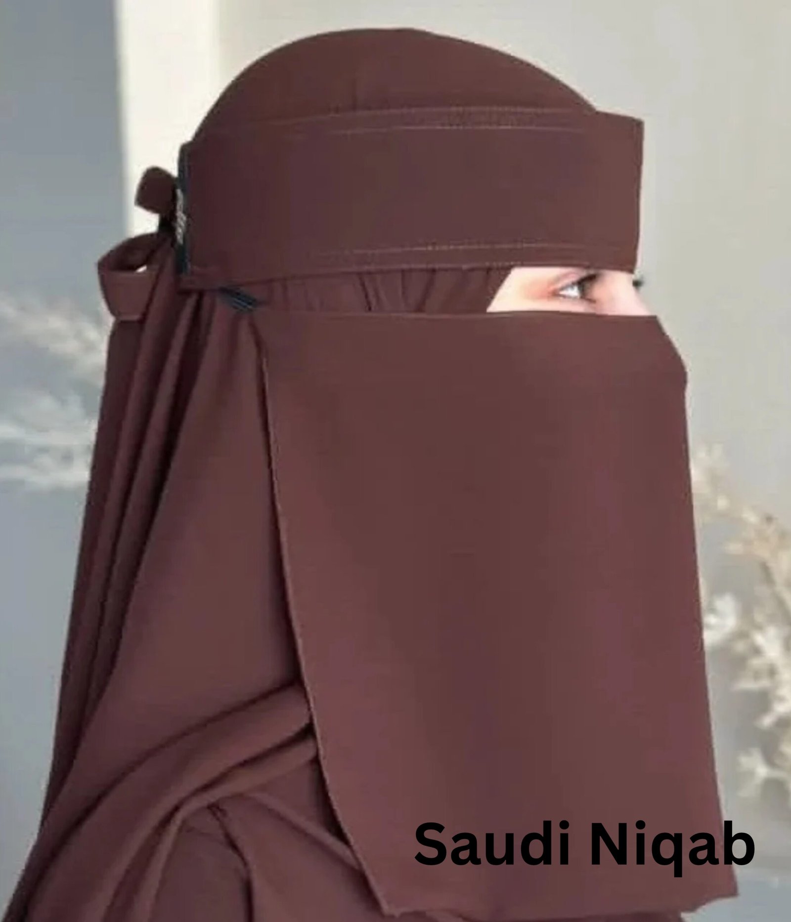 saudi niqab (1)